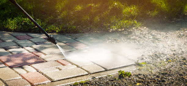 Best Roof Cleaning and Mildew Removal in Big Rock, IL